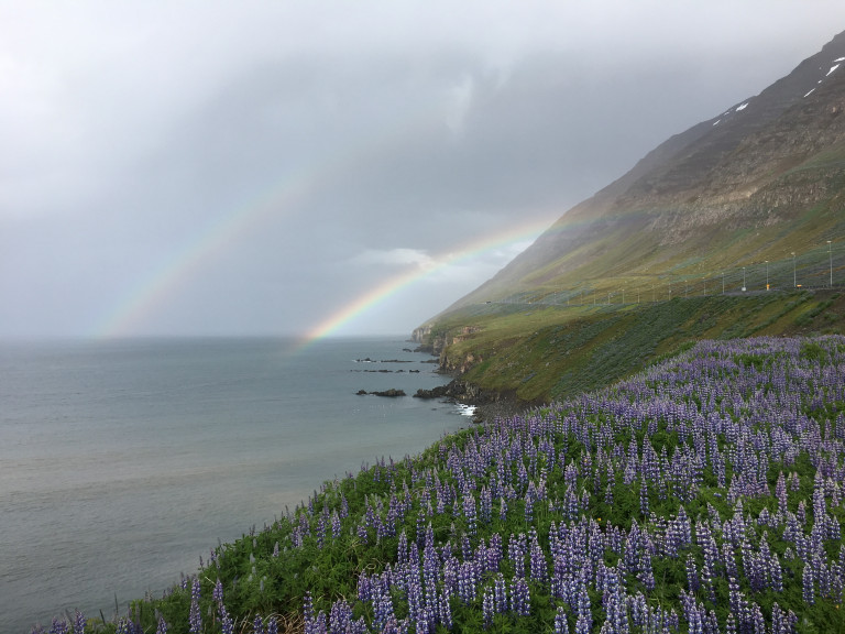 Frá Ólafsfirði. Ljósmynd: Lára Stefánsdóttir