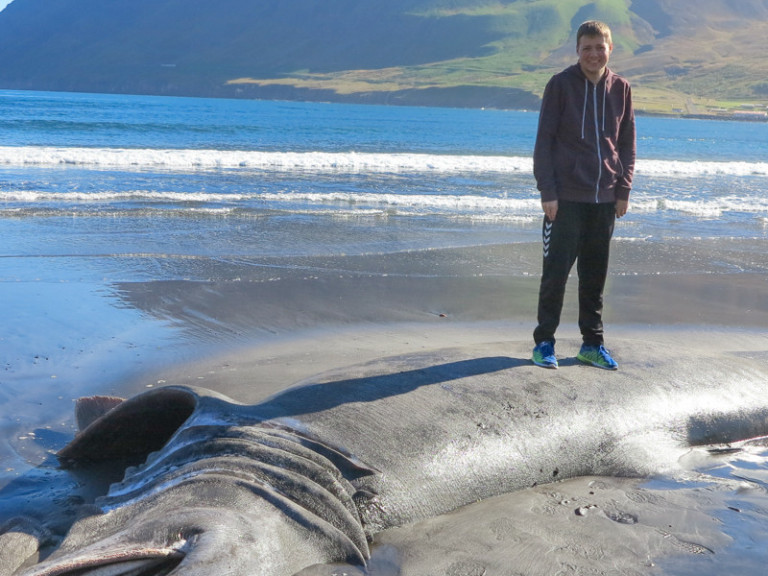 Pétur og hákarlinn mynd ÞH