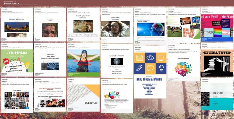 Valvika - vorönn 2021