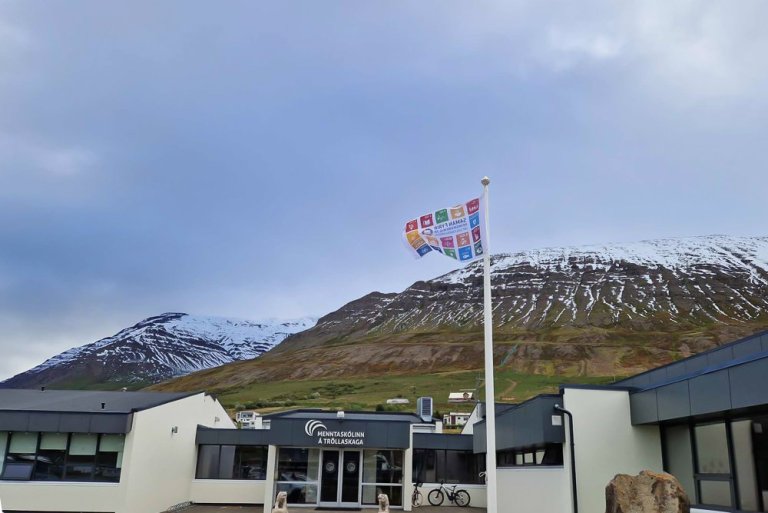 Flaggað á fánadegi mynd ÞH