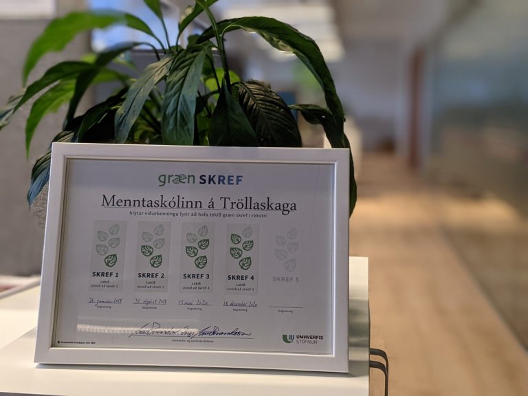 Viðurkenningarskjal MTR. Mynd: Umhverfisstofnun.